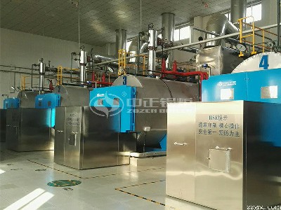 大型<a href=/ target=_blank class=infotextkey>供熱鍋爐</a>